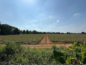 大路關樂園、賽嘉公園旁、山湖觀高球場旁大面積農地｜屏東縣高樹鄉廣興段
