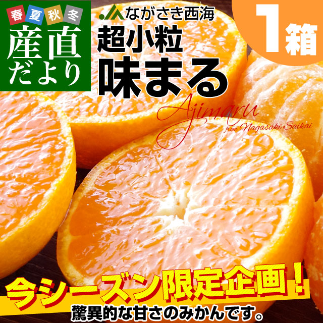 長崎県 JAながさき西海「味まる」2Sから3Sサイズ 超小粒4.5キロ 1箱（たっぷり75玉前後）送料無料　みかん ミカン 蜜柑 高糖度みかん