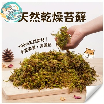 【QingFei】森境乾苔蘚 99g｜天然造景苔蘚 小寵墊材 倉鼠築巢材料 打洞鋪底 造景裝飾 苔蘚墊料 小動物用品
