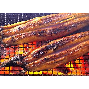 うなぎ 国産 国内加工 特大鰻蒲焼き ウナギ