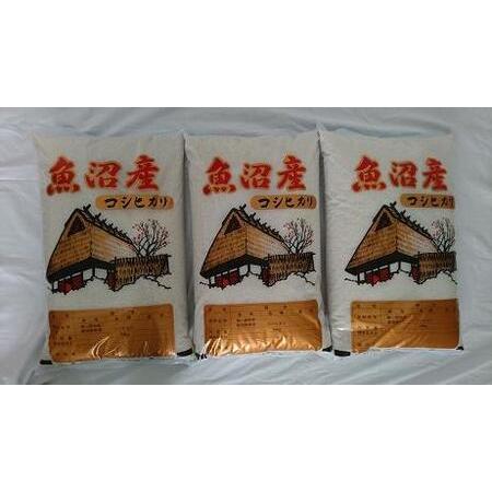 ふるさと納税 魚沼産しおざわコシヒカリ白米3０ｋｇ 新潟県南魚沼市