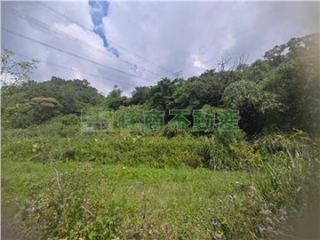 G69金山低總價農地｜新北市金山區三和段