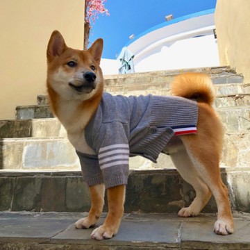 【汪喵森活－優惠出清💲】 灰色針織衫 毛衣 狗外套 秋冬服飾 貴賓 貓咪 小型犬服飾 米克斯 比熊 柯基 法鬥 柴犬