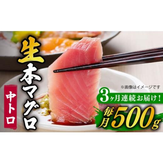 ふるさと納税 長崎県 新上五島町  五島列島産 養殖 生本かみまぐろ 中トロ ブロック 500g…