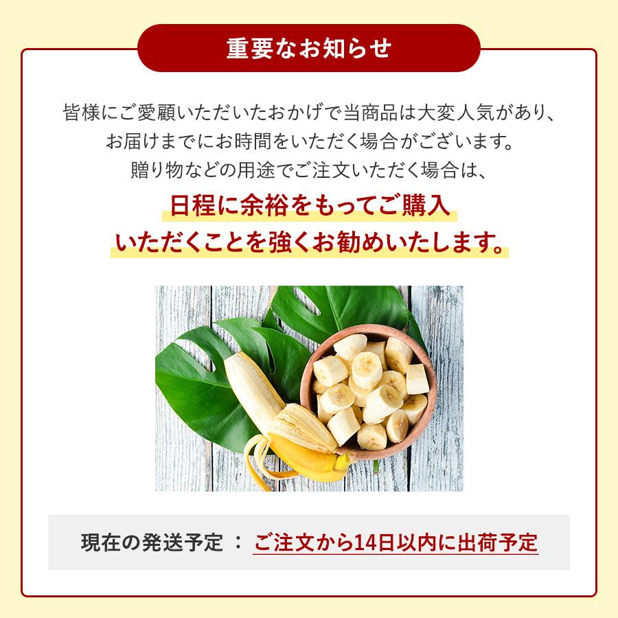 瀬戸内バナナ バナナ 無農薬 岡山県産 特秀 2-3本入り 国産 送料無料 産地直送 希少 御中元