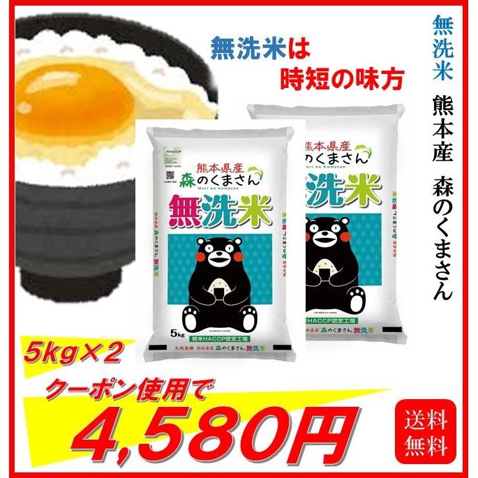 新米　米　お米　１０ｋｇ　（５ｋｇ×２）　くまモン　森のくまさん　無洗米　熊本県産　令和５年産　送料無料