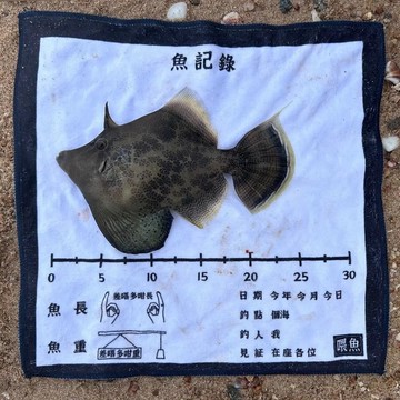 Hellofishy/魚記錄/方巾