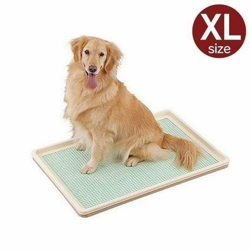 犬トイレ 犬トイレトレー しつけ おしゃれ 犬 トイレ 犬用トイレ ペット用 犬用 トレーニングトイレ 大型犬 中型犬 ボンビ しつけるトレーxl メッシュタイプ 通販 Lineポイント最大0 5 Get Lineショッピング