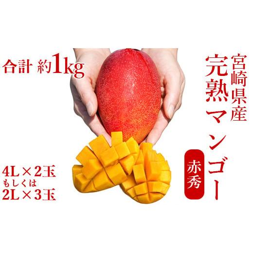 ふるさと納税 宮崎県 ◇宮崎県産完熟マンゴー[赤秀] 合計約1kg（2〜3玉）