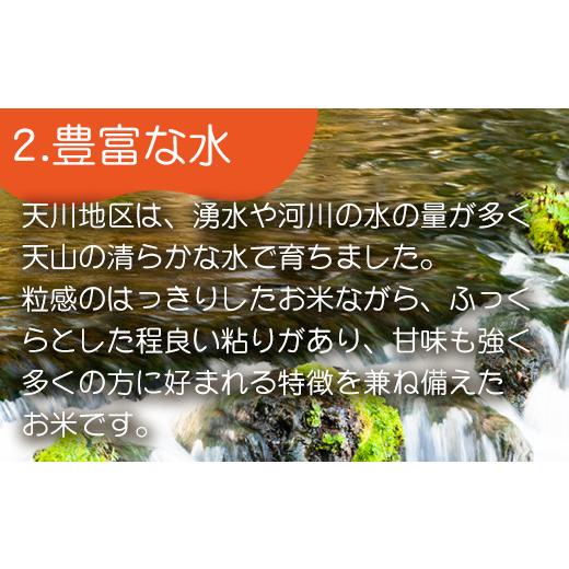 ふるさと納税 佐賀県 唐津市 特別栽培米  唐津市天川産 こしひかり 5kg×2 (合計10kg) 減肥減農薬で育てた特別栽培米をお届け たんぱく質が少なく食…