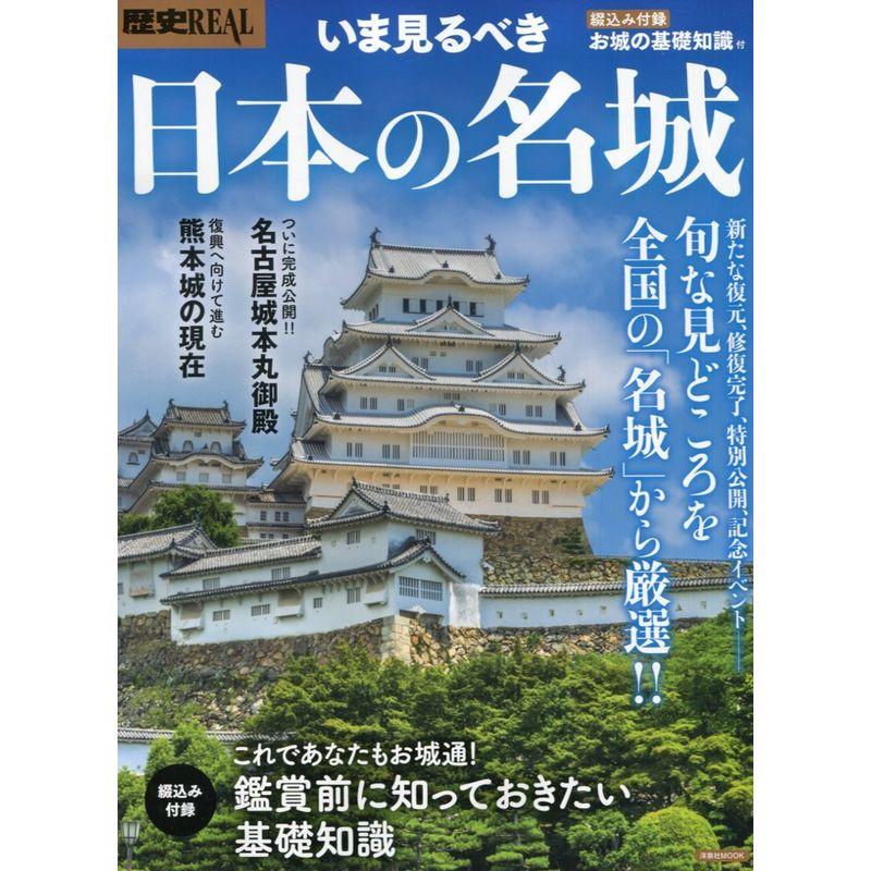 歴史REALいま見るべき日本の名城 (洋泉社MOOK 歴史REAL)