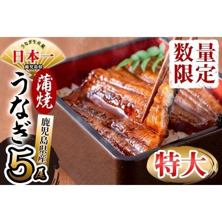 ふるさと納税 鹿児島県産 伊崎田のうなぎ蒲焼 特大＜190g以上＞× 5尾(計950g以上) c5-001 鹿児島県志布志市