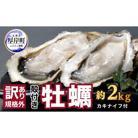 ふるさと納税 訳あり ハーフ 規格外 牡蠣 北海道厚岸産 殻付カキ 約2kg（11〜25個）カキナイフ付 生食 北海道厚岸町