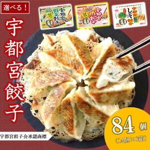 本場！ 選べる宇都宮餃子（しそ餃子） 真岡市 栃木県 送料無料