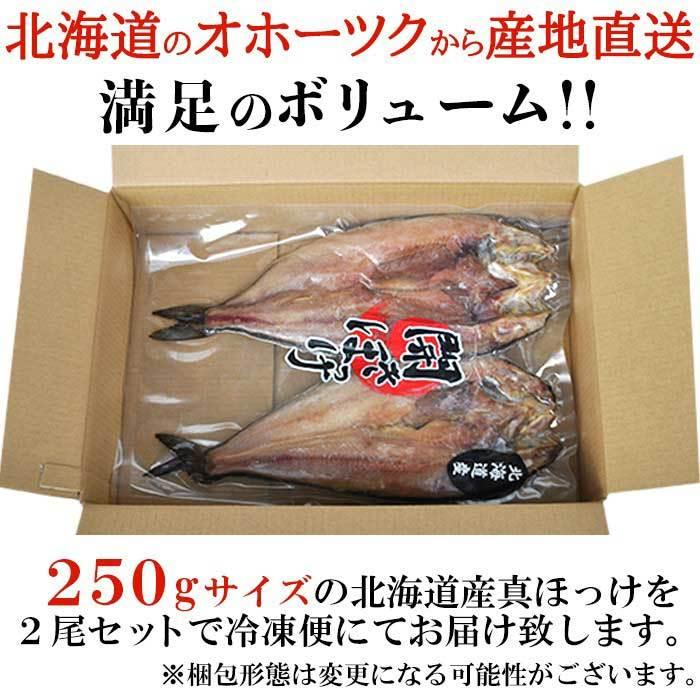 北海道産 真ほっけ 一夜干し 250g×2 冷凍 ギフト対応 贈答 ギフト 贈り物（送料無料）