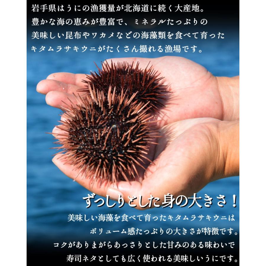 国産うに 200g  うに  岩手県産　箱入り　生うに 100g×２パックセット 冷凍　ブランチウニ　国産 雲丹　・国産ウニ２P・