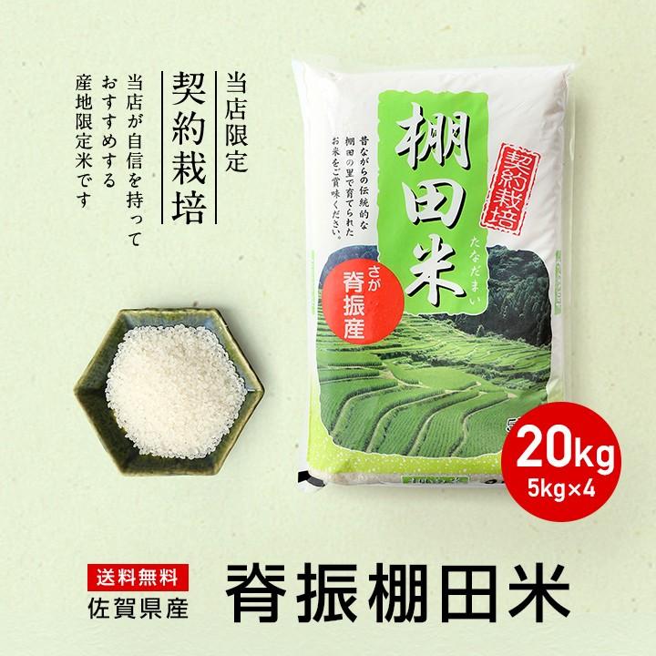 新米　5年産　佐賀県白米20kg(5kg×4袋) お米 米 佐賀県産 