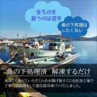 飛龍丸漁師直伝　下処理不要！流水解凍ですぐ使える旬のお魚セット