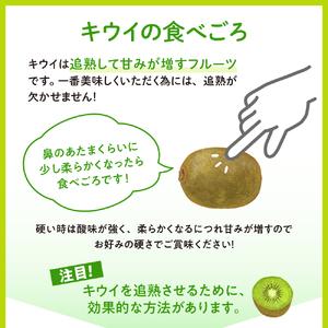 ふるさと納税 希少品種「 レッドキウイ 」国産 約1kg 広島県呉市