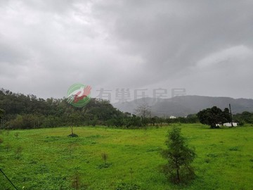 冬山茶園配甜點美農田｜宜蘭縣冬山鄉仁山段