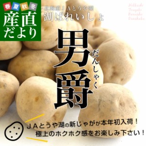 北海道より産地直送 JAとうや湖 じゃがいも 湖ばれいしょ「男爵」 Mサイズ 10キロ 馬鈴薯 ジャガイモ  送料無料