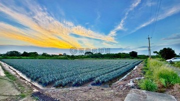 新化竹子腳特定農業區｜地勢平坦免填土出入動線絕佳｜台南市新化區竹子腳