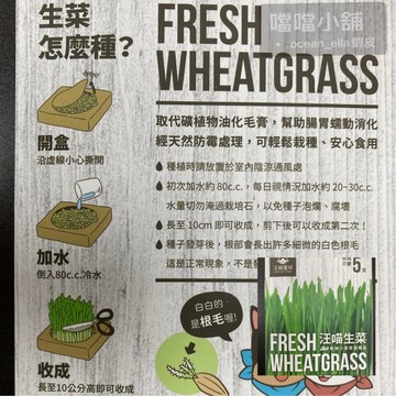 米格魯 汪喵星球貓草栽培盒 貓零食 5天收成 99%發芽率