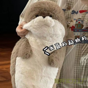 臺灣-出貨🔥海豹毛絨玩具公仔軟萌布娃娃創意玩偶床上睡覺抱枕送男女生日 ULTD