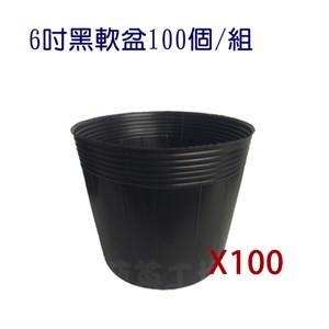 6吋黑軟盆100個/組