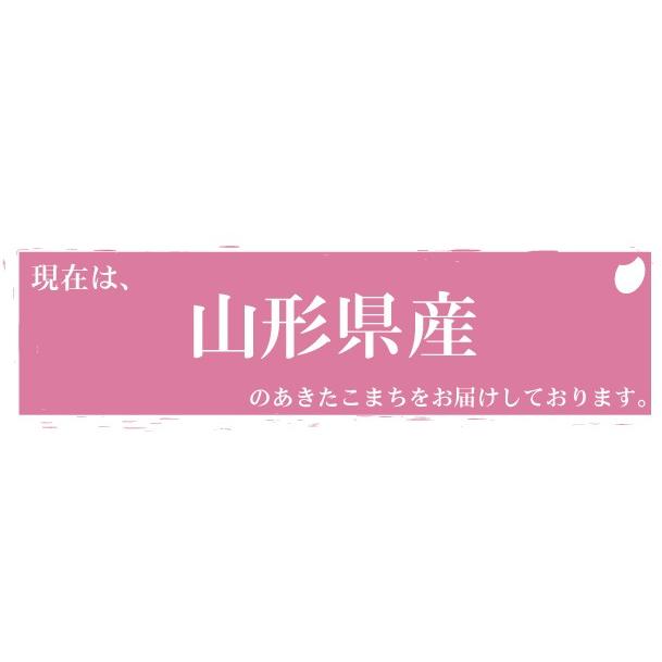 特価 ポイント3倍 新米 令和5年産 無洗米 5kg×2 あきたこまち 10kg 山形県産 お米 送料無料（SL）