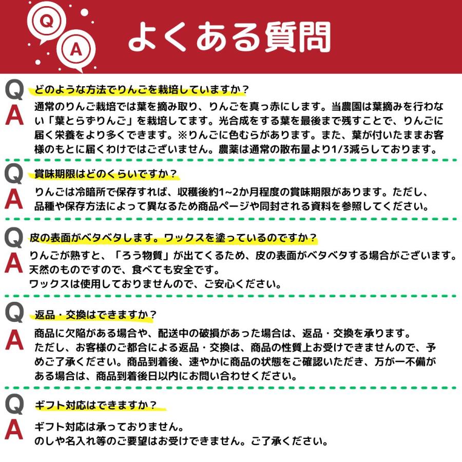 旬のおまかせ 葉とらずりんご 訳あり（無選別）約2.5kg 7〜16玉 食べ比べ 減農薬 長野県産 産地直送 送料無料 #NAX0B025