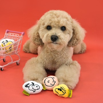 peanuts史努比75周年迷你發聲啃咬玩具(3入/組)