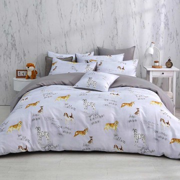 雙人兩用被套特大床包組/美國棉授權品牌 300織/ 瑞奇樂曲 [鴻宇] 台灣製 - 2505