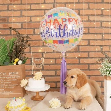 狗狗生日氣球 生日快樂氣球 圓形氣球 貓咪生日氣球 慶生氣球 氣球佈置 拍照道具 生日派對佈置 氣球 透明氣球