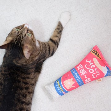 香港手工貓草包 - 肉泥醬醬唧唧 (粉色) 貓薄荷 寵物玩具 貓玩具