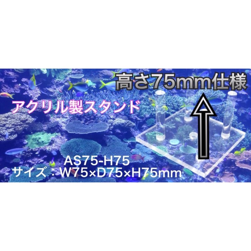 A-AS75-H75* （W75×D75×H75ｍｍ）アクリル製スタンド ライブロック