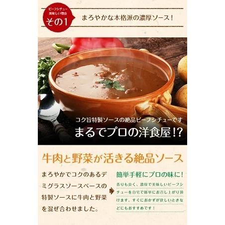 辛口ビーフシチュー 200g×3パック 辛口 送料無料 国産 牛肉 デミグラス ソース ご飯のお供 レトルト 常温保存OK 非常食 おかず [メール便]