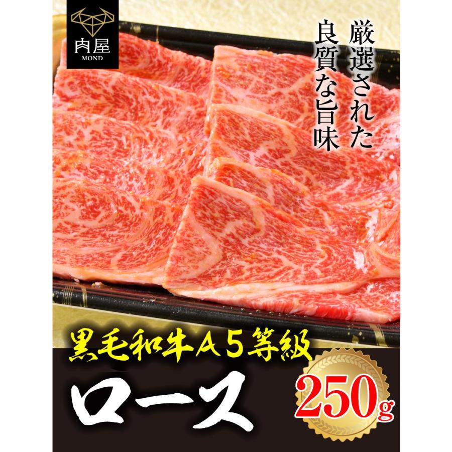 焼肉 肉 牛肉  和牛 A5等級 黒毛和牛 霜降りロース 250g 肉ギフト お取り寄せ グルメ