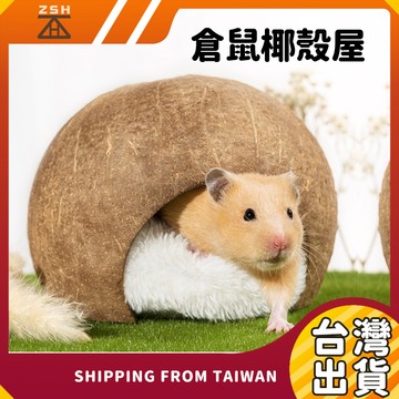 台灣現貨 倉鼠椰殼屋 蜜袋鼯 寵物椰殼窩 椰子殼屋 椰殼躲避屋 吊床睡窩 蜜袋鼯睡窩 小鳥睡屋 黃金鼠 倉鼠 楓葉鼠