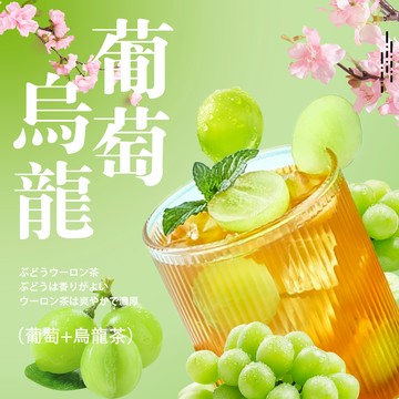 【隔日達】葡萄烏龍茶 夏日特調 烏龍茶 冷泡茶 葡萄乾 青提果茶 果茶 水果茶 茶葉 茶包 冷泡茶包 果乾 果乾茶 茶