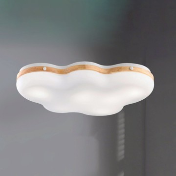 E27 壓克力吸頂五燈 C16-13-64583