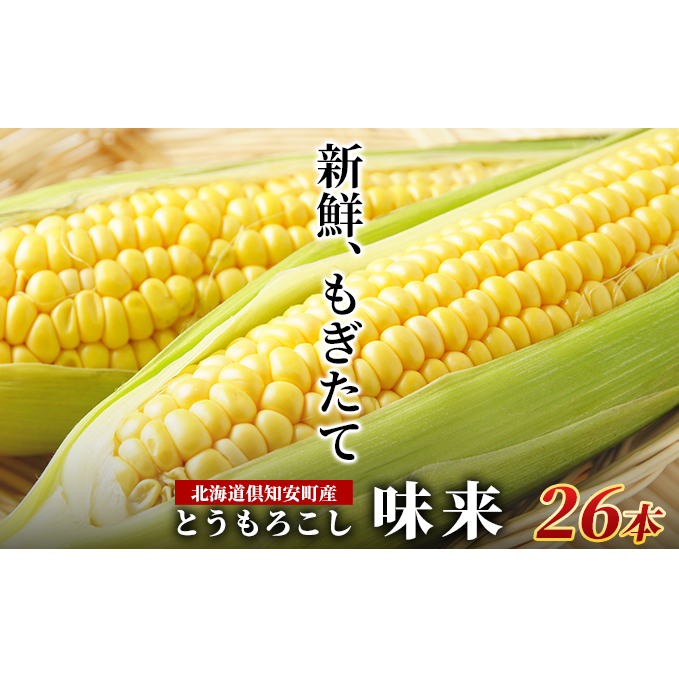 北海道産 朝もぎ イエロー とうもろこし 味来 みらい 2Lサイズ 26本 約10kg 夏野菜 とうきび 新鮮 野菜 トウモロコシ 甘い ギフト 産地直送 コーン 産直 グリーンアースファーム