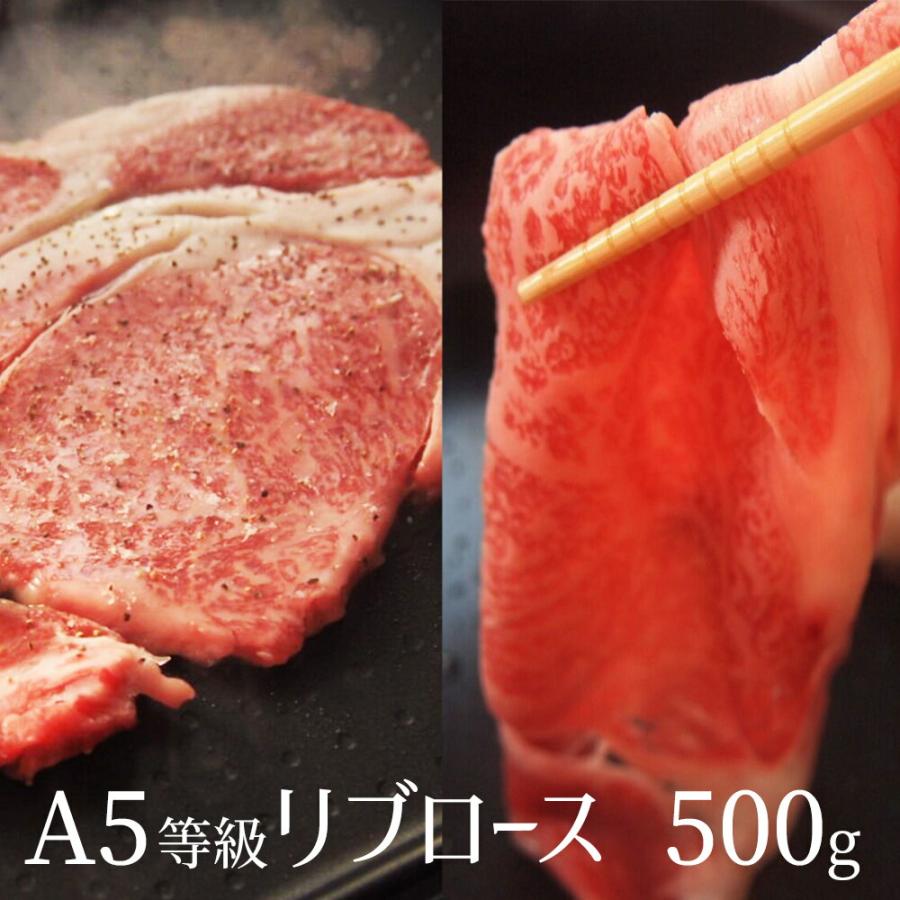 A5等級訳あり贅沢リブロース　500ｇ