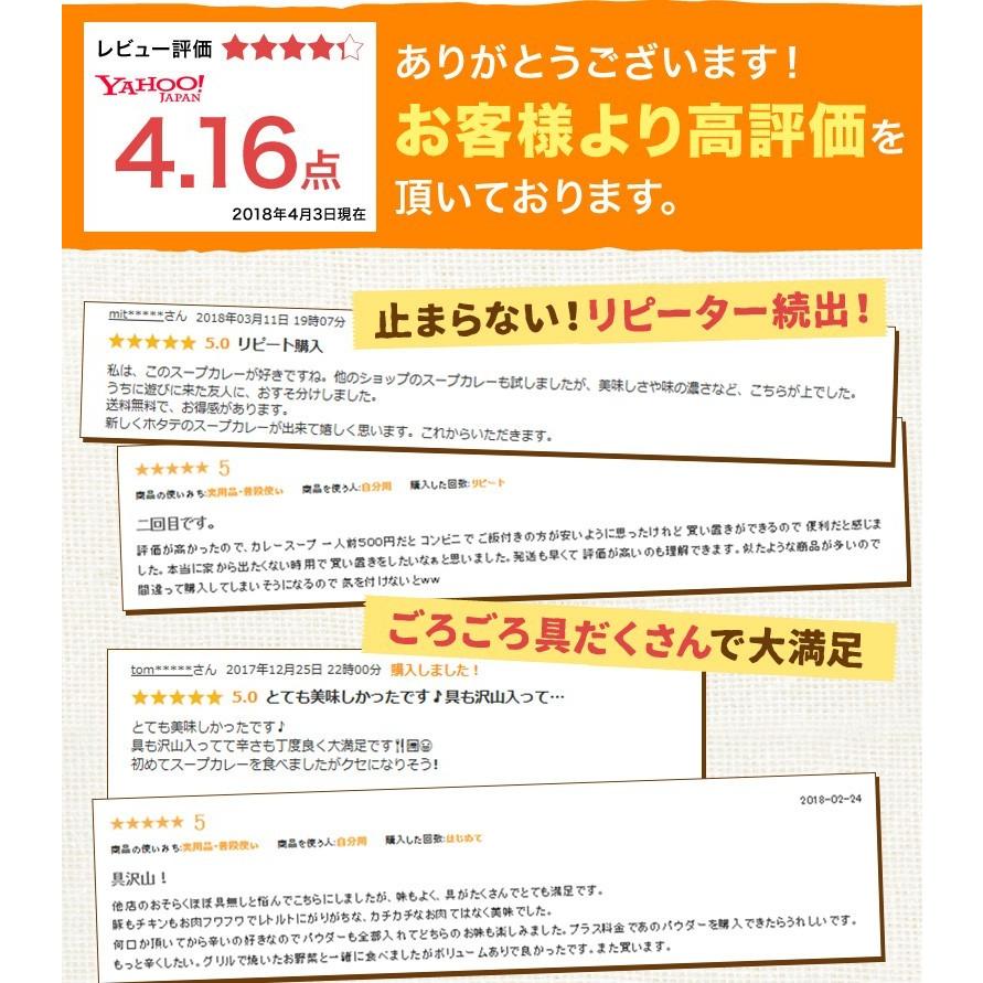 札幌極みスープカレー 業務用20食 送料無料 スープカレー レトルト カレー 大容量 北海道 チキン10食・豚角煮10食 ギフト 飲食店 レストラン ホテル 卸