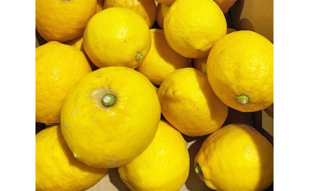 小豆島育ちのレモン　約3kg