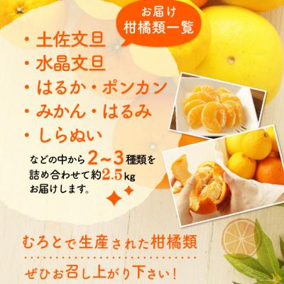 ふるさと納税 室戸市 柑橘詰め合わせセット(約2.5kg)　柑橘セット 柑橘類 果物セット 5000円