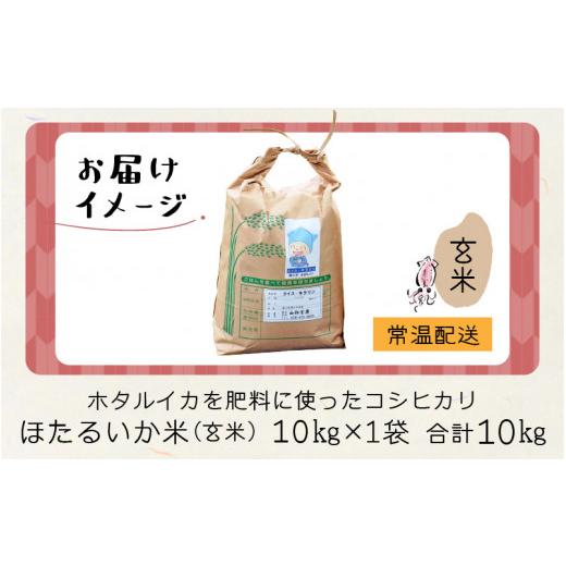 ふるさと納税 富山県 滑川市 ほたるいか米（新米／玄米10kg）