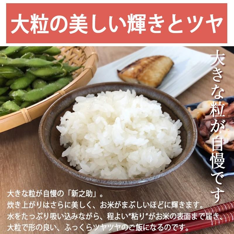 お米 900g 新潟産新之助 チャック付パック しんのすけ 条件付送料無料 令和５年産  ギフト 内祝い