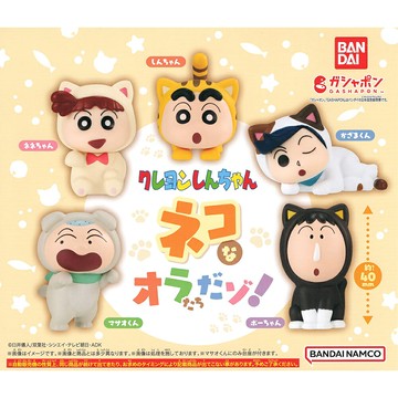 【日本正版】全套5款 蠟筆小新 貓咪裝扮公仔 扭蛋 轉蛋 春日部防衛隊 野原新之助 風間徹 正男 BANDAI 萬代 - 808852