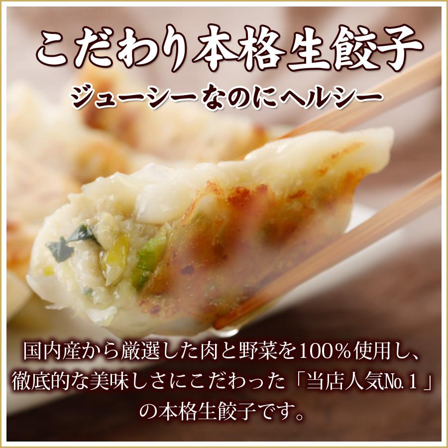 お試しセット送料無料 詰め合わせ 冷凍餃子  生餃子 餃子 ぎょうざ ギョーザ ギョウザ 冷凍生餃子 お取り寄せ セット 冷凍食品 グルメ